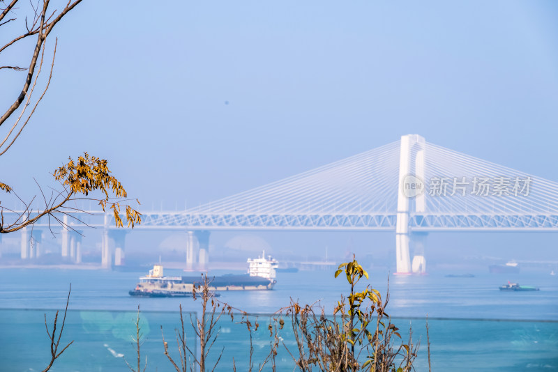 安徽芜湖市滨江公园老海关跨江大桥风景