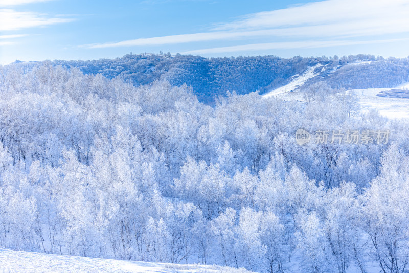 冬天雾凇树挂雪景雪林森林