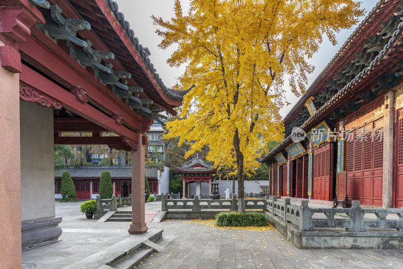 杭州上城区孔庙古园林风景
