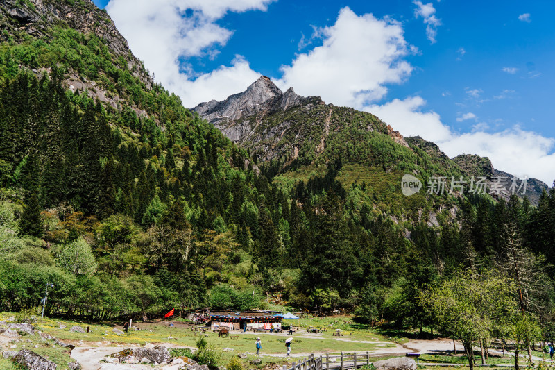 阿坝州四姑娘山长坪沟