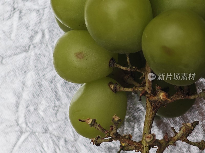 青葡萄特写果实饱满呈现新鲜状态