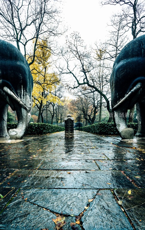 秋日石象景观小道雨中明孝陵