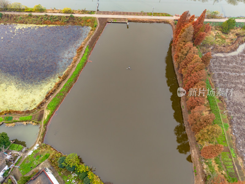 农村田园秋季风景