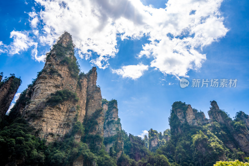 中国湖南张家界景区奇特山峰与茂密森林