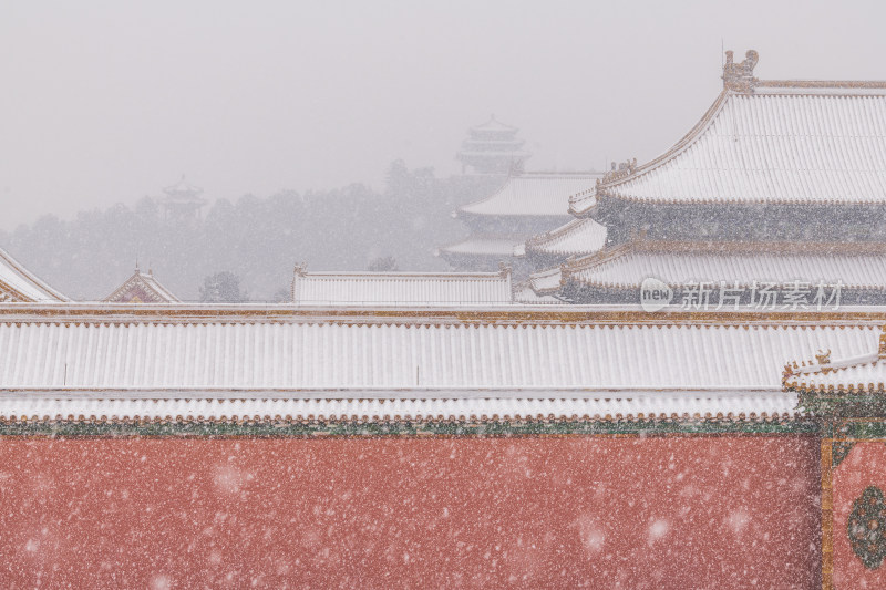 北京 故宫 博物馆 大雪纷飞