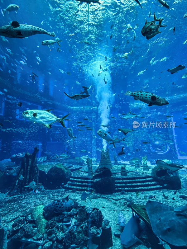 三亚亚特兰蒂斯酒店的水族馆