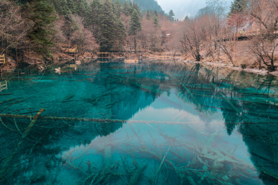 川西九寨沟冬季雪山碧蓝海子唯美