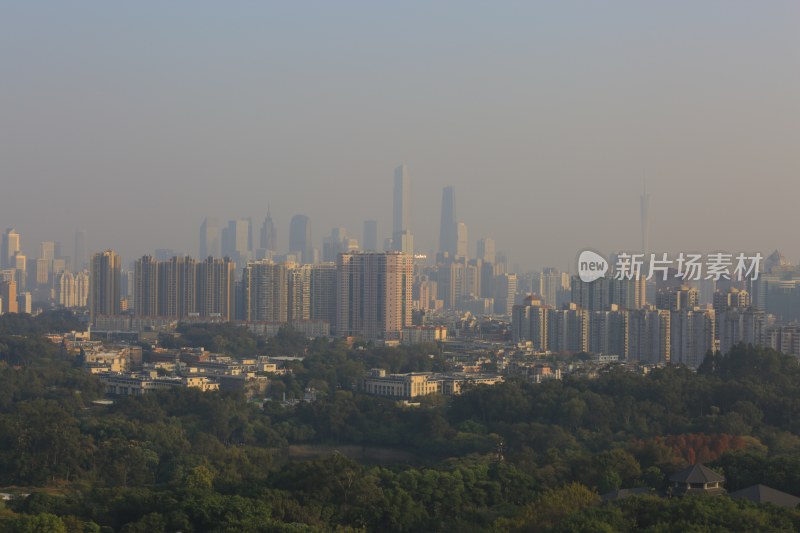 城市建筑群与树林远景