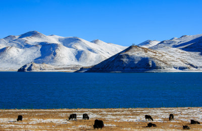 中国西藏羊卓雍措湖羊湖冬季雪景