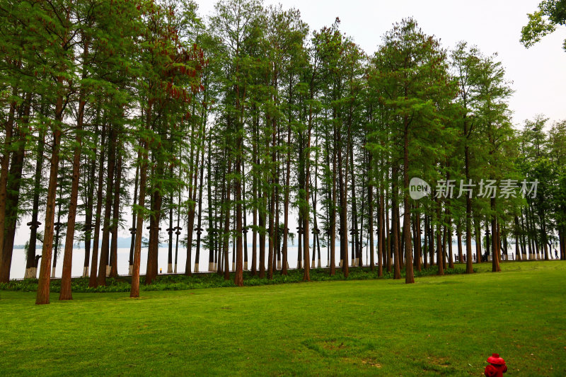 武汉东湖听涛风景区