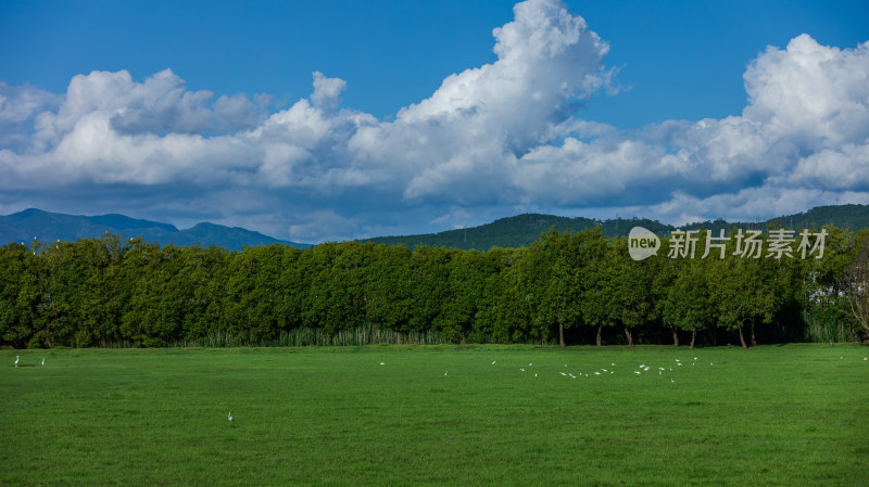 丽江拉市海湿地公园夏末风光茶马古道风景