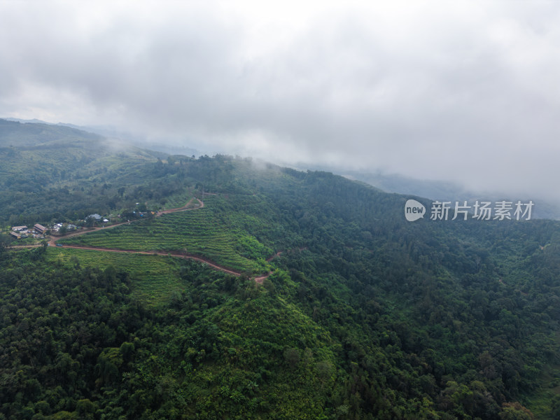 航拍绿意盎然的山脉和茂密森林