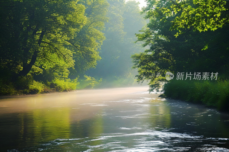 风景生态背景河流树木