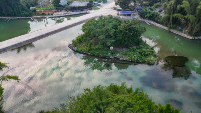 广西桂林遇龙河大榕树景区航拍图