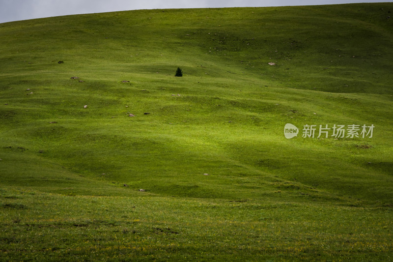 阳光下山谷草原连绵起伏的绿色山川