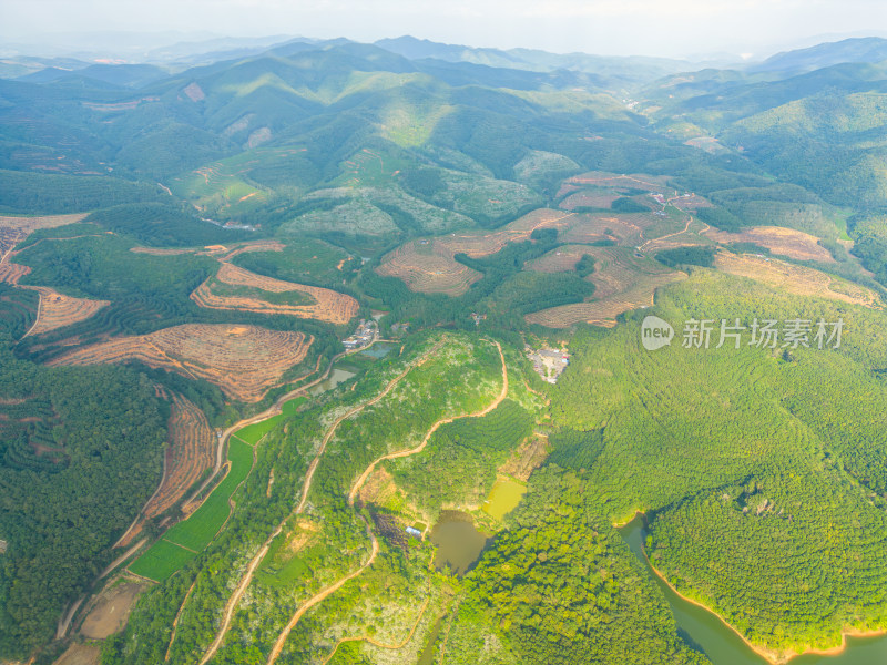 航拍山间梯田茶园田园风光