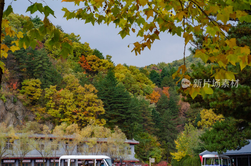 河南省洛阳白云山九龙潭秋天风景