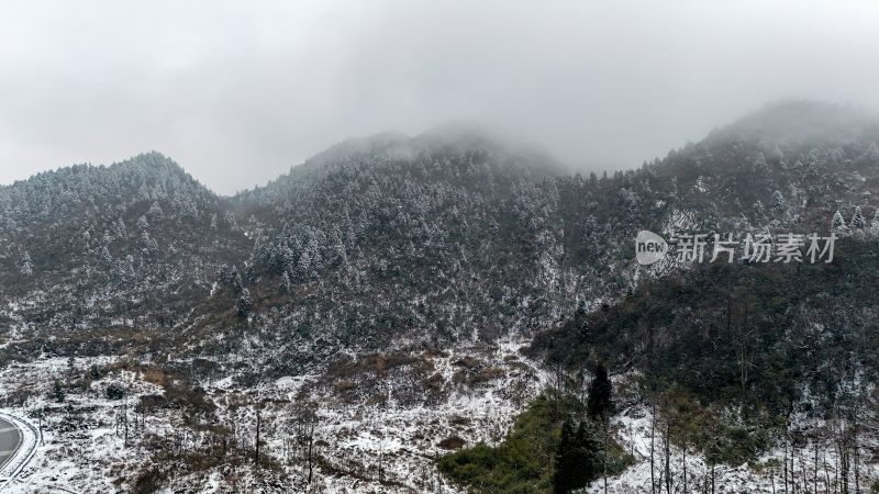 重庆酉阳：大雪纷飞赏雪忙