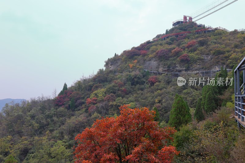 红叶柿岩风光