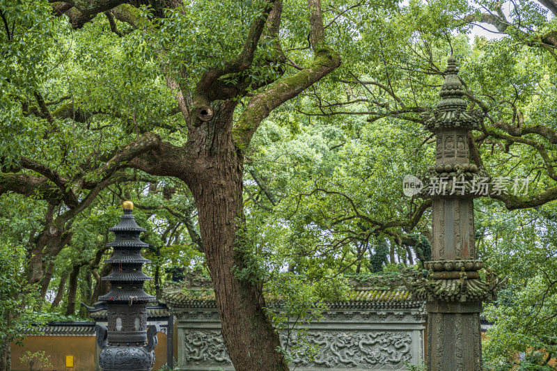 浙江普陀山法雨寺禅院