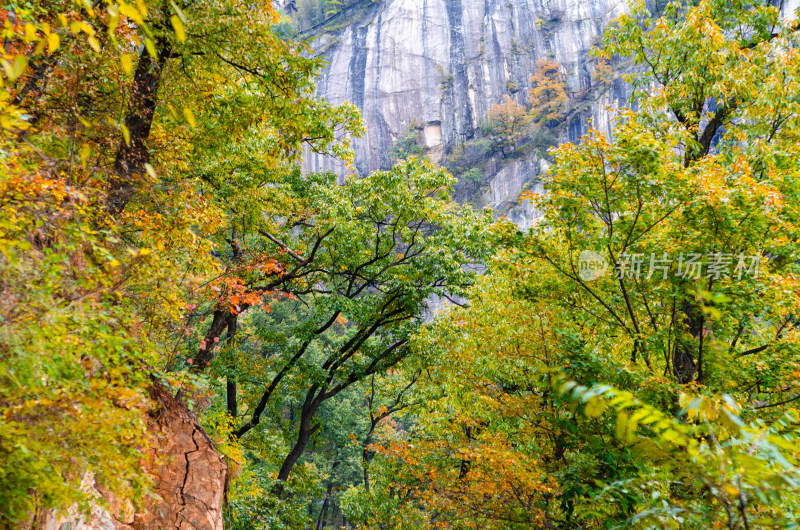 河南省洛阳白云山九龙潭秋天山林风景