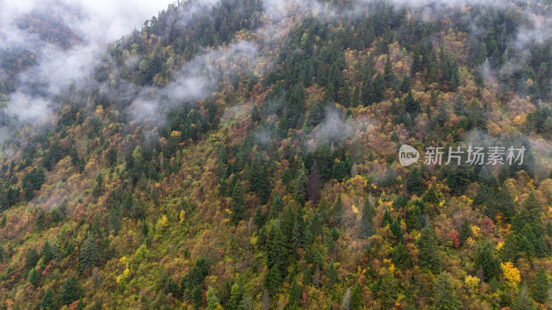 阿坝州黄龙风景名胜区秋色