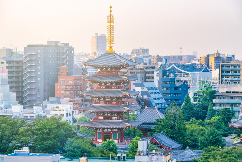 远眺日本东京浅草寺五重塔日落风光