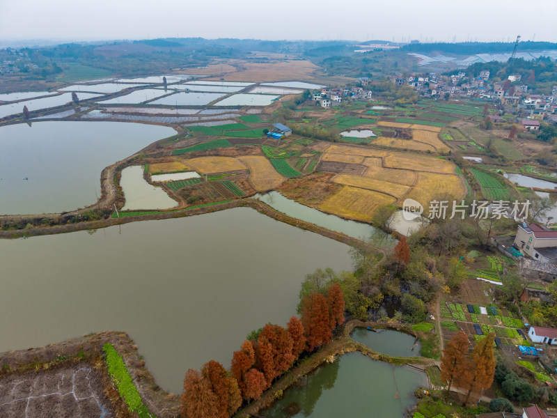 农村田园秋季风景