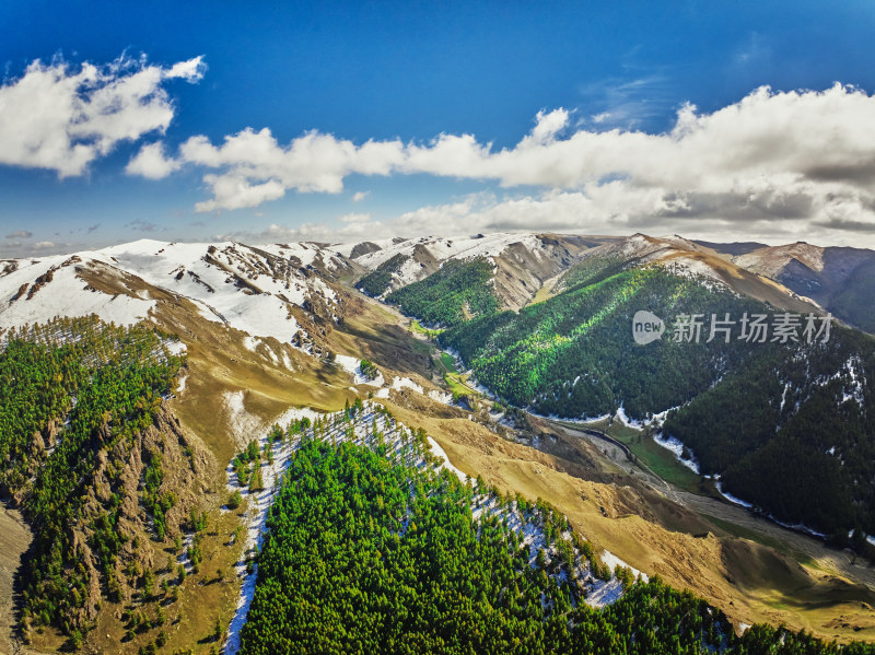 航拍雪山森林