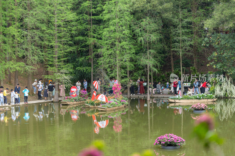 深圳仙湖植物园花展