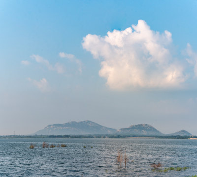 夏天的邹城孟子湖湿地湖泊自然景观