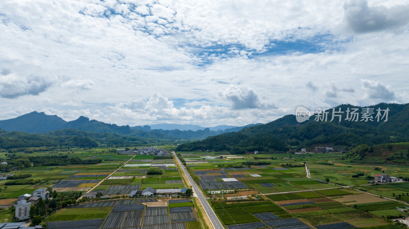 航拍武夷山绿色农田与茶园