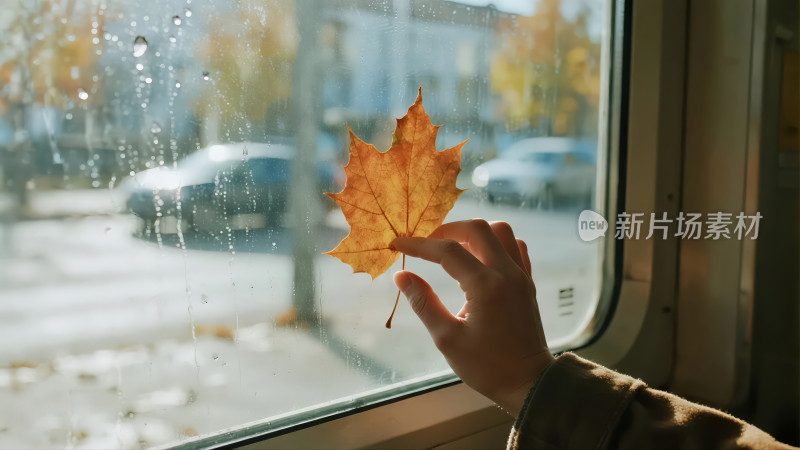 秋季思念雨天车窗枫叶孤独情感背景图