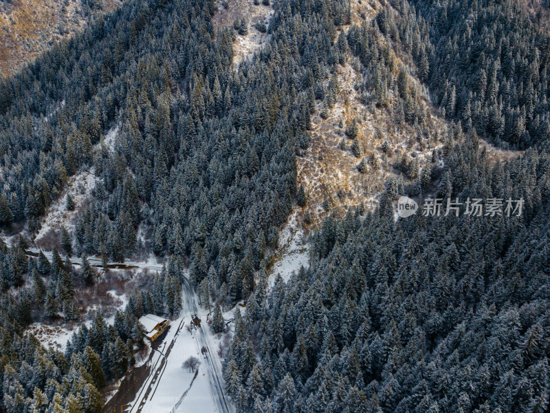 冬天的森林雪景