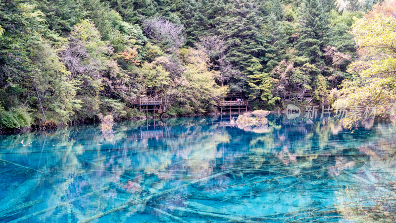 四川阿坝九寨沟清澈风底的水