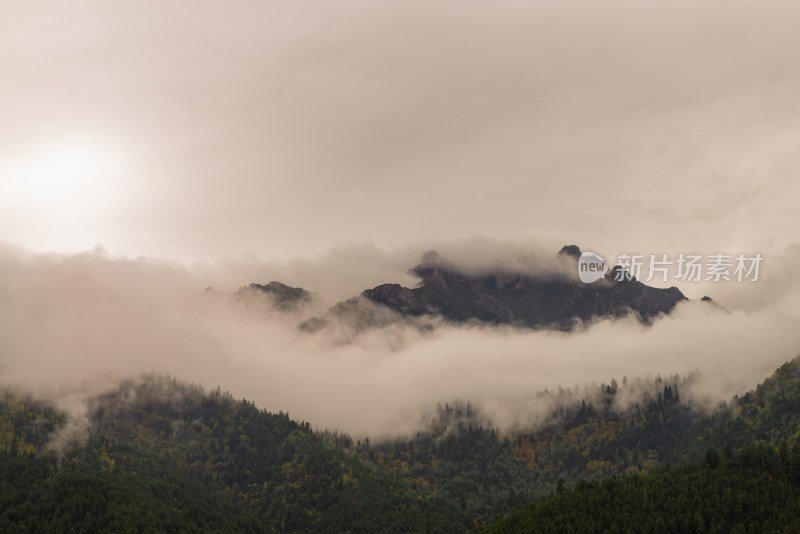 云雾中的森林山峰虎头山