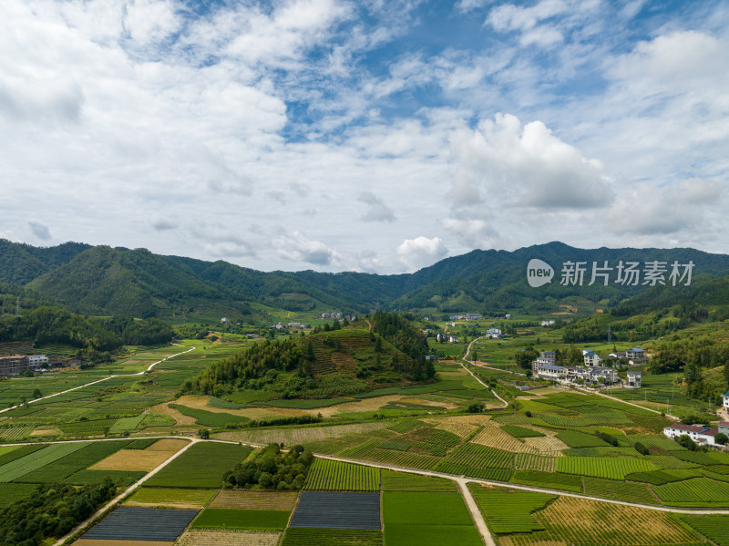 航拍武夷山绿色农田与茶园