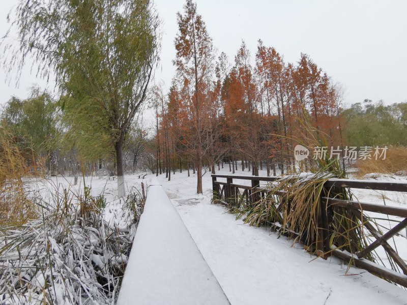 北京奥林匹克森林公园冬天雪景