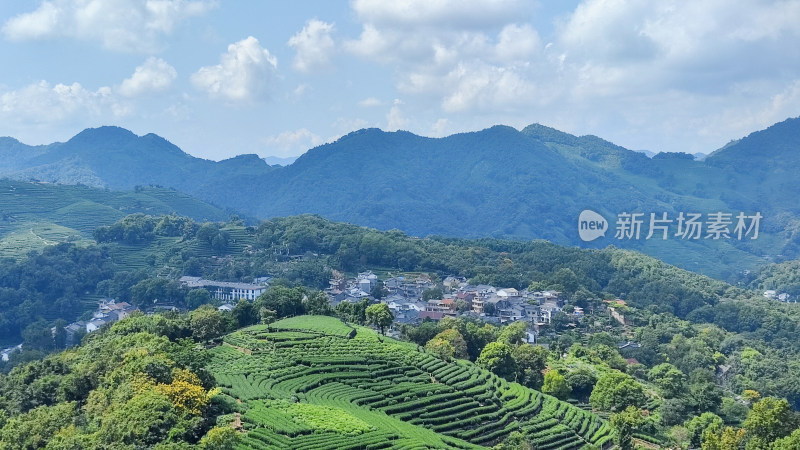 杭州南高峰俯瞰青山茶园自然风光