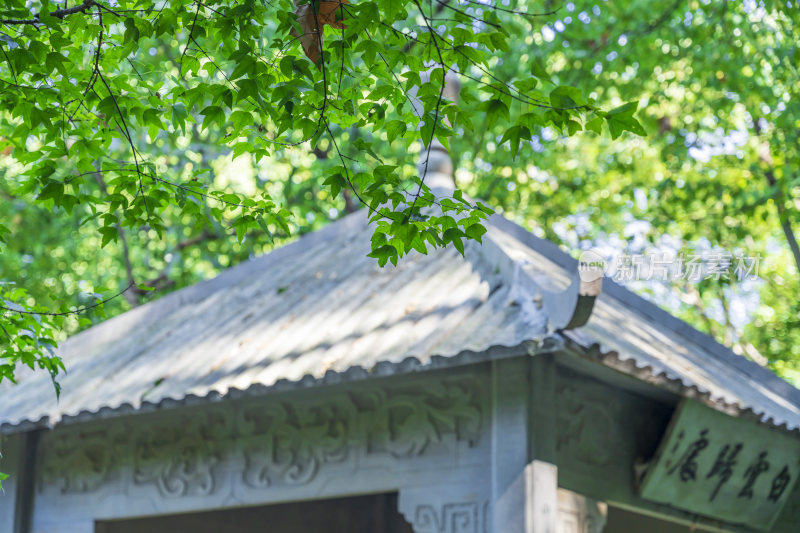 杭州宝石山景区金鼓洞景点