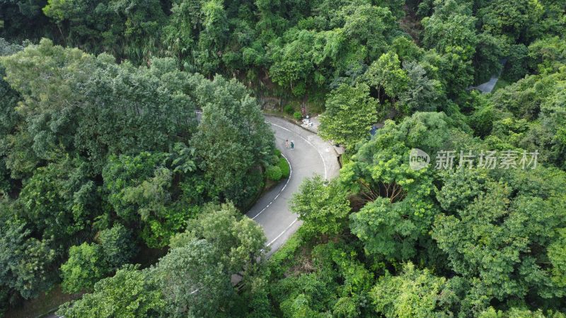 广东东莞银瓶山森林公园清溪景区登山步道