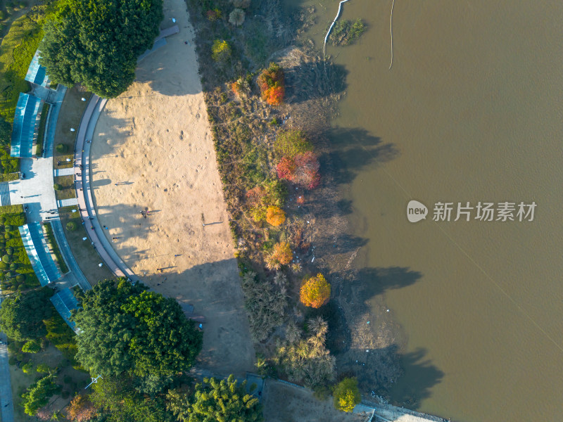 福州城市中色彩斑斓的树林全景