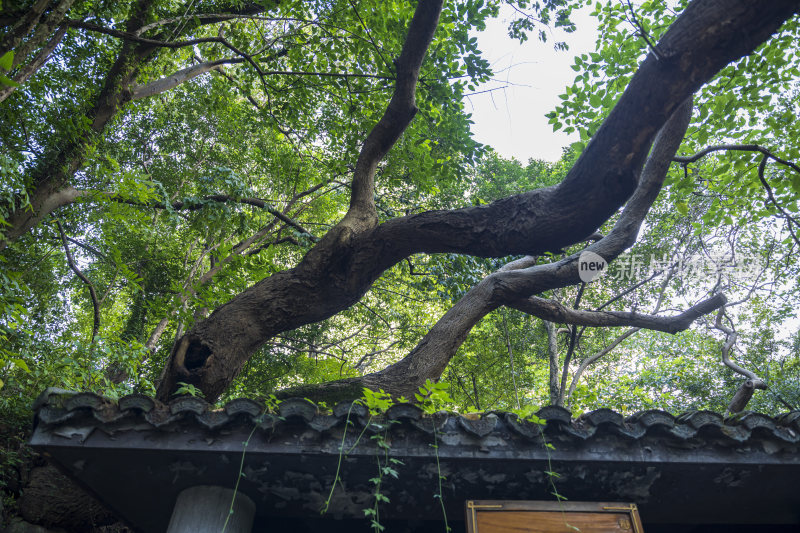 杭州吴山天风景区圆心亭