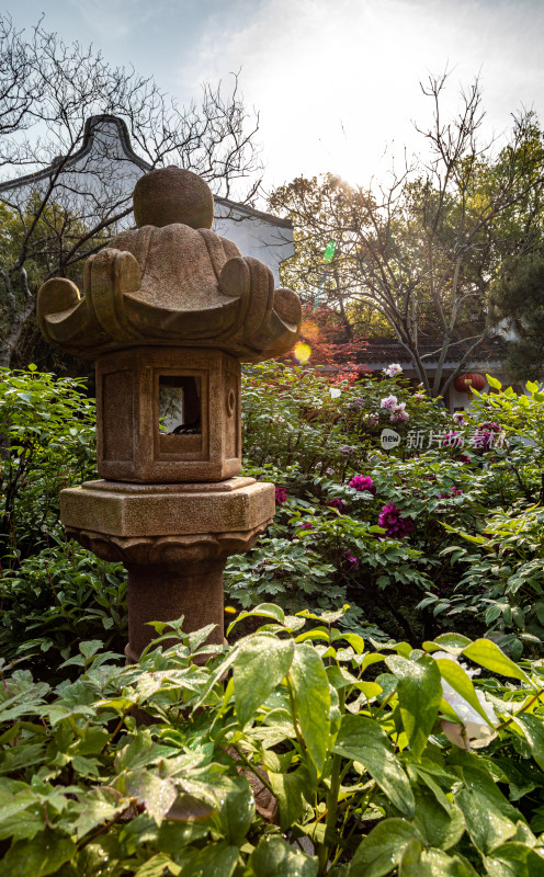 上海徐汇龙华寺自然建筑景观龙华寺塔