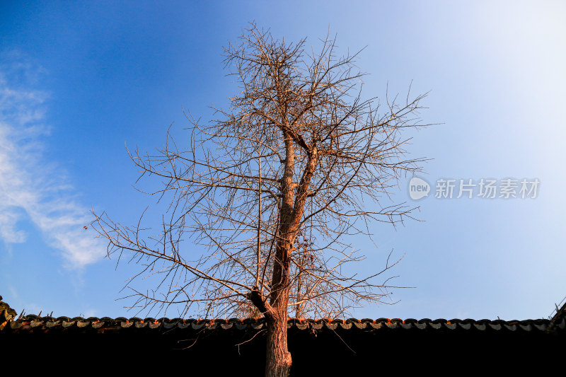 南京瞻园太平天国历史陈列南京市博物总馆