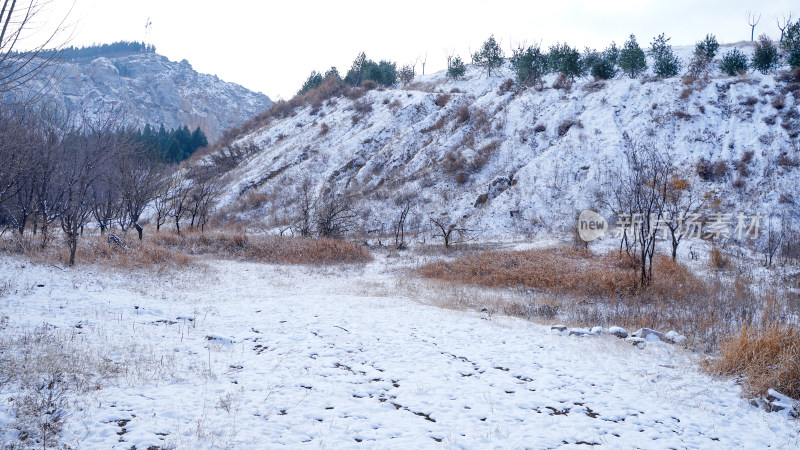 公园山谷小路雪景