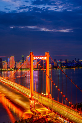 武汉夏季鹦鹉洲长江大桥城市夜景风光