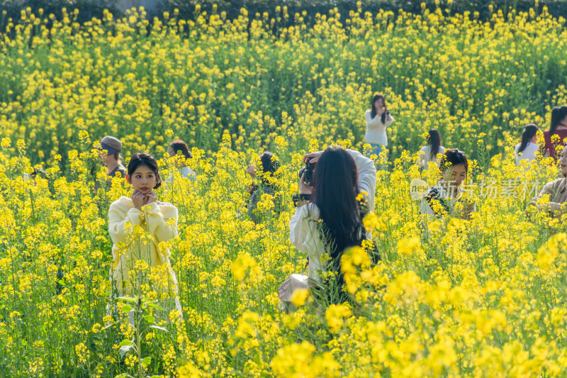 福州花海公园女孩在油菜花田拍照场景