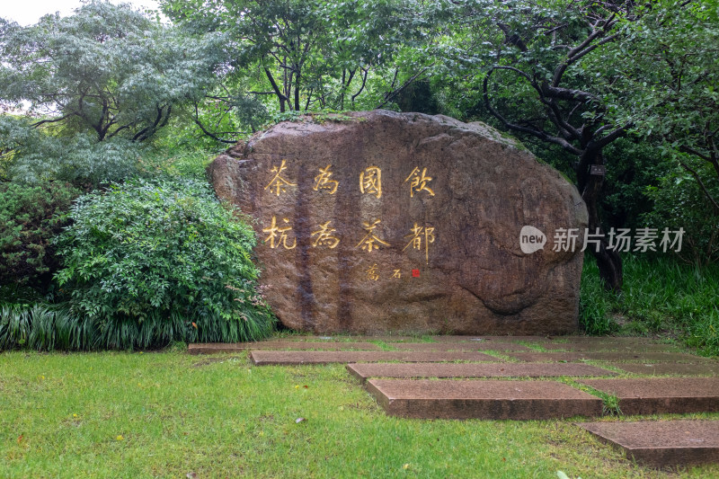 游客游览 杭州的中国茶叶博物馆的双峰馆