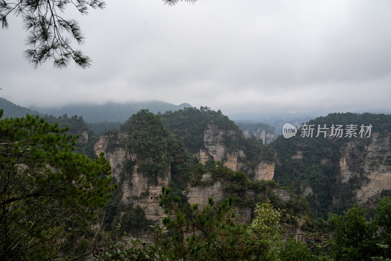 云雾缭绕的张家界奇峰异石景观